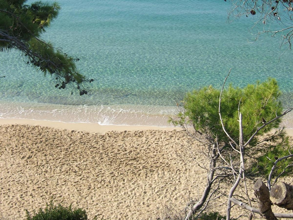 Anna'S Studios Argostoli (Kefalonia) Exterior foto