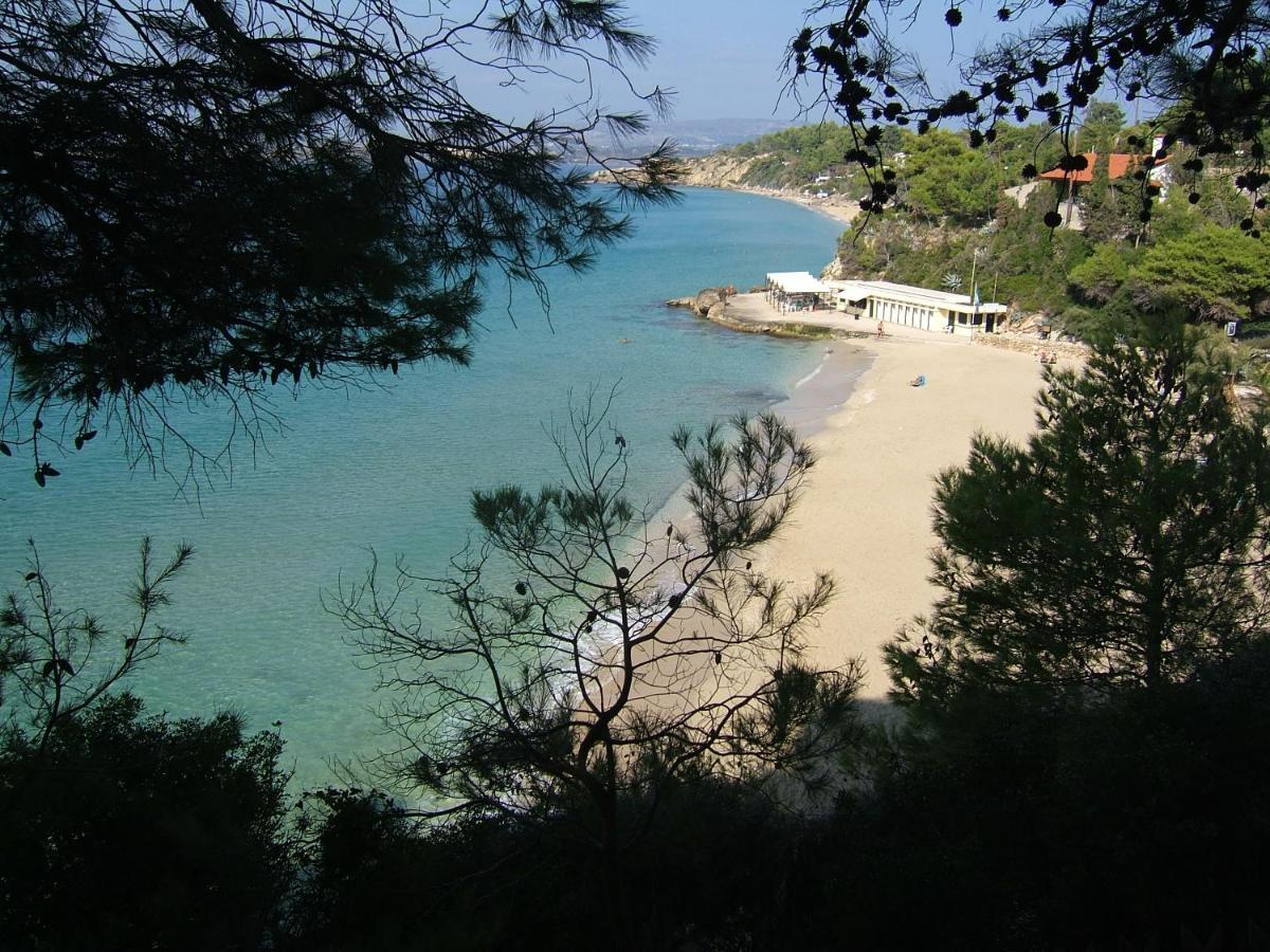Anna'S Studios Argostoli (Kefalonia) Exterior foto