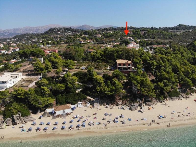 Anna'S Studios Argostoli (Kefalonia) Exterior foto